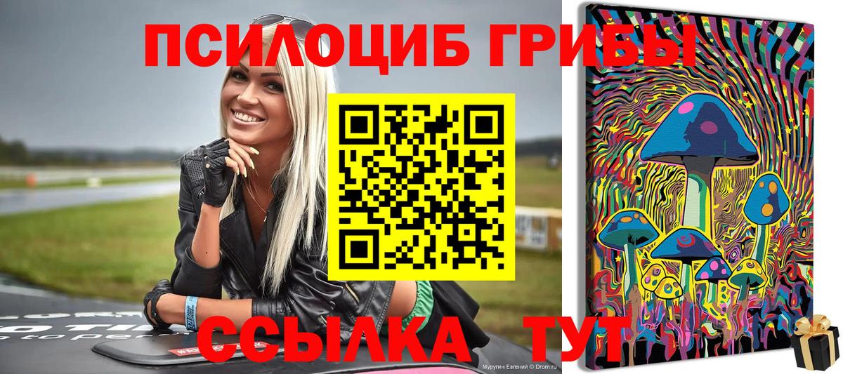 Псилоцибиновые грибы Psilocybine cubensis Кимовск