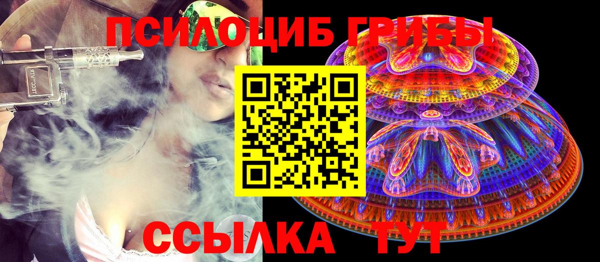 Галлюциногенные грибы GOLDEN TEACHER  Вход с VPN  Кимовск 